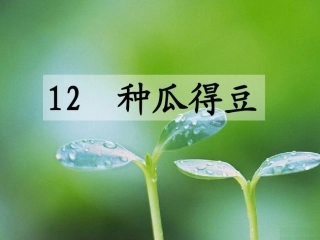 12种瓜得豆