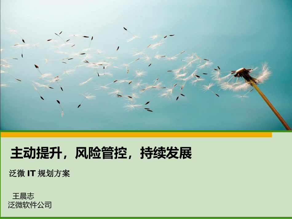 泛微_IT规划方案_第1页