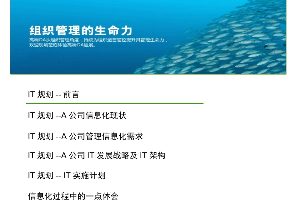 泛微_IT规划方案_第2页