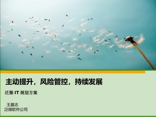 泛微_IT规划方案