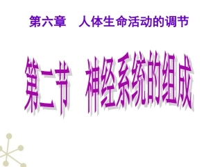 神经系统的组成