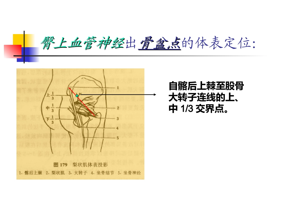 体表定位学之腰臀部_第2页