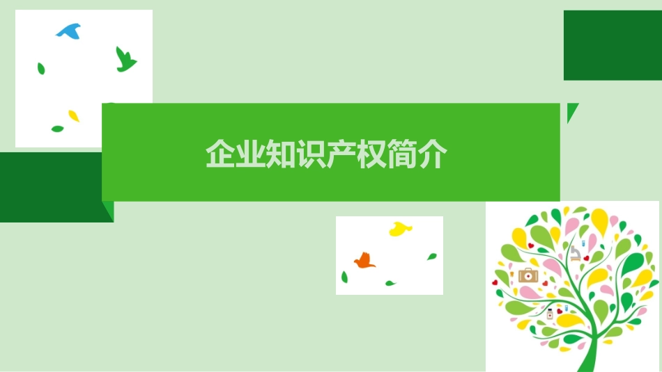 企业知识产权简介_第1页