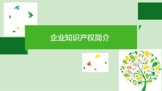 企业知识产权简介