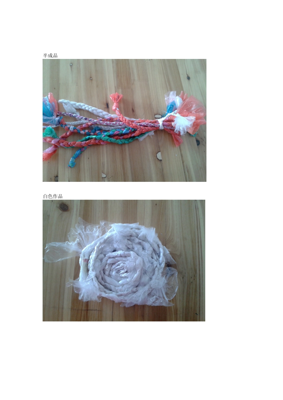 综合实践活动作品_第3页