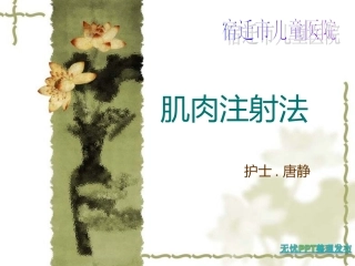 肌肉注射PPT