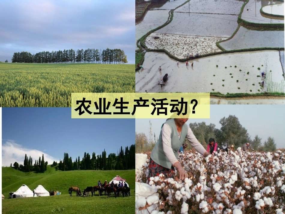 农业区位因素与农业地域类型_第2页