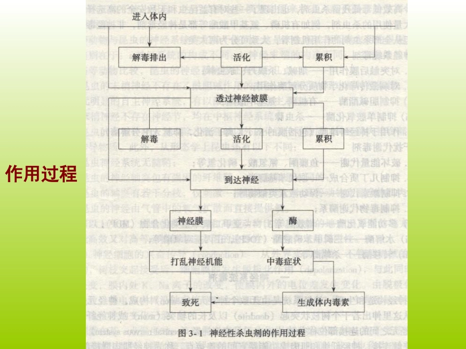 农药的生物活性和作用机理-1_第2页