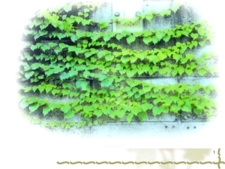 四年级上册 26那片绿绿的爬山虎 课件 PPT 超完整版