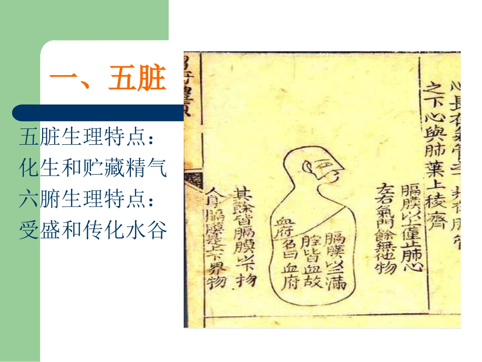 中医护理基础理论_第3页