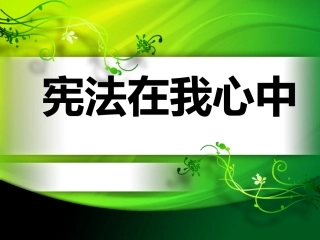 宪法在我心中
