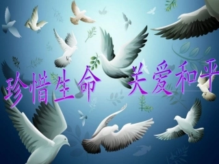 化学武器及其防护