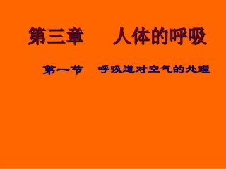 呼吸道对空气的处理课件