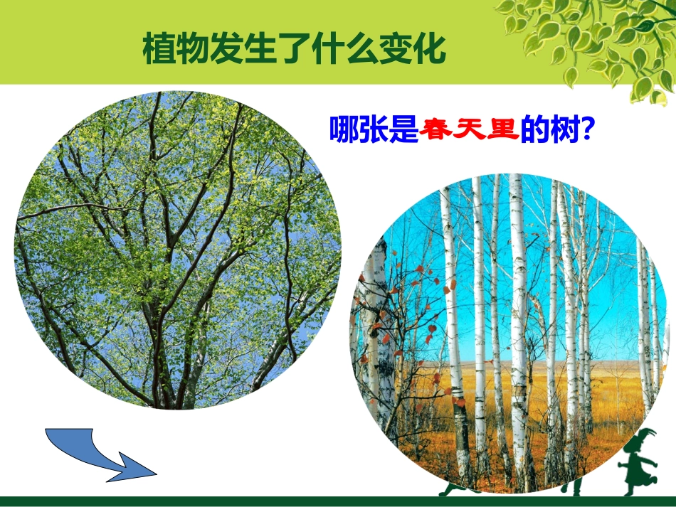 植物发生了什么变化_第2页