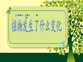 植物发生了什么变化