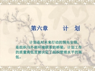 计划的表现形式政策