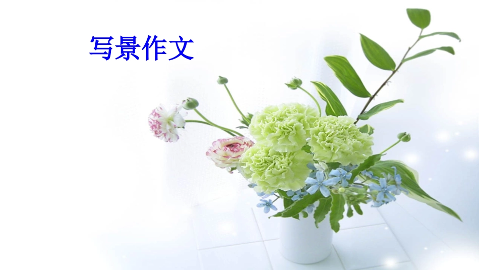 小学三年级-写景作文_第1页