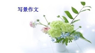 小学三年级-写景作文