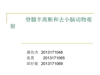 脊髓半离断及去小脑动物观察