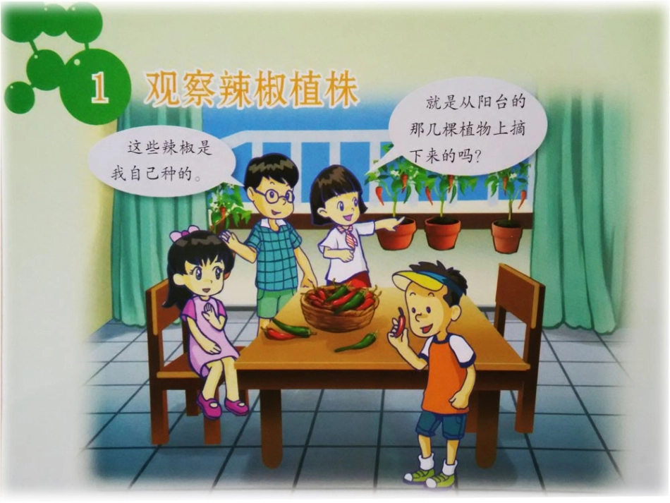 四年级上册科学第一单元植物的身体(一、二课)_第3页