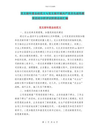 党支部年度总结范文与党支部开展共产党员先进性教育活动分析评议阶段总结汇编