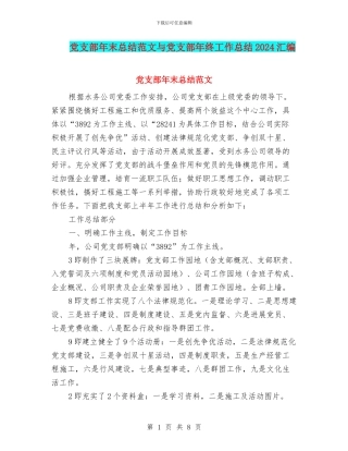 党支部年末总结范文与党支部年终工作总结2024汇编