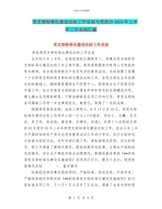 党支部标准化建设达标工作总结与党政办2024年上半年工作总结汇编