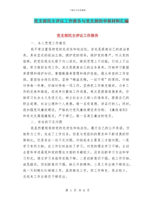 党支部民主评议工作报告与党支部的申报材料汇编