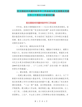 党支部结对共建共创半年工作总结与党支部落实党建工作三个责任工作意见汇编