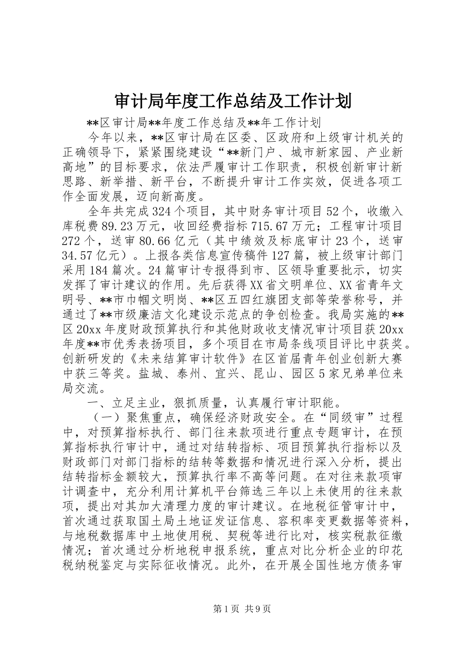 审计局年度工作总结及工作计划 _第1页