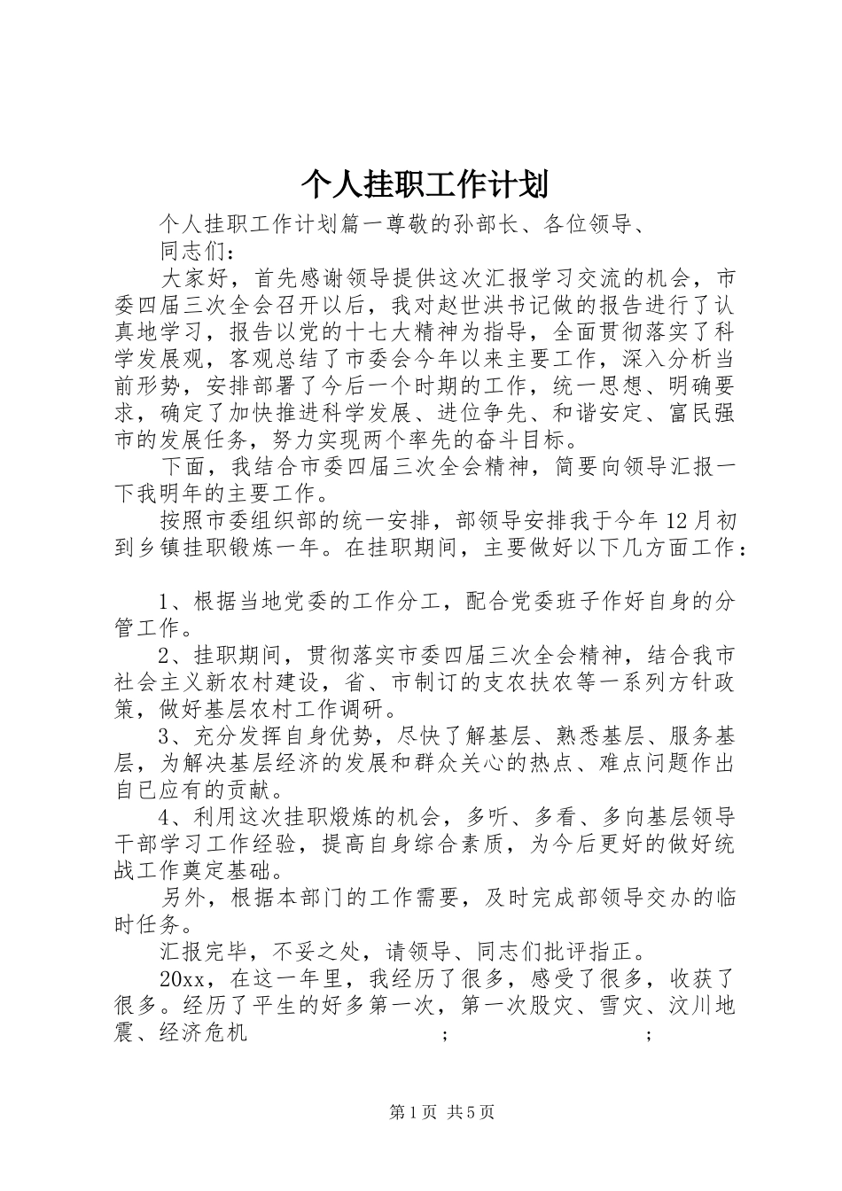 个人挂职工作计划 _第1页