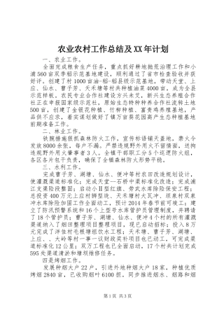 农业农村工作总结及XX年计划 