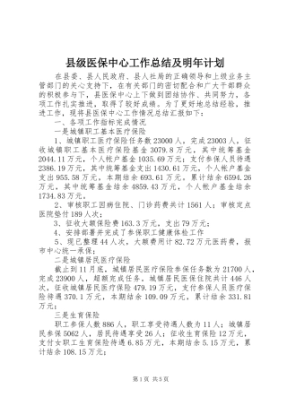 县级医保中心工作总结及明年计划 