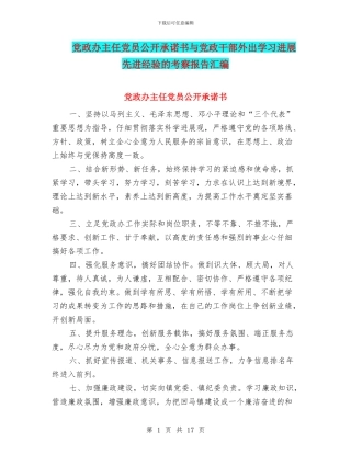 党政办主任党员公开承诺书与党政干部外出学习发展先进经验的考察报告汇编