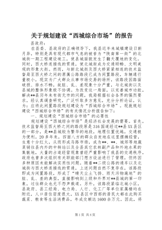 关于规划建设“西城综合市场”的报告 