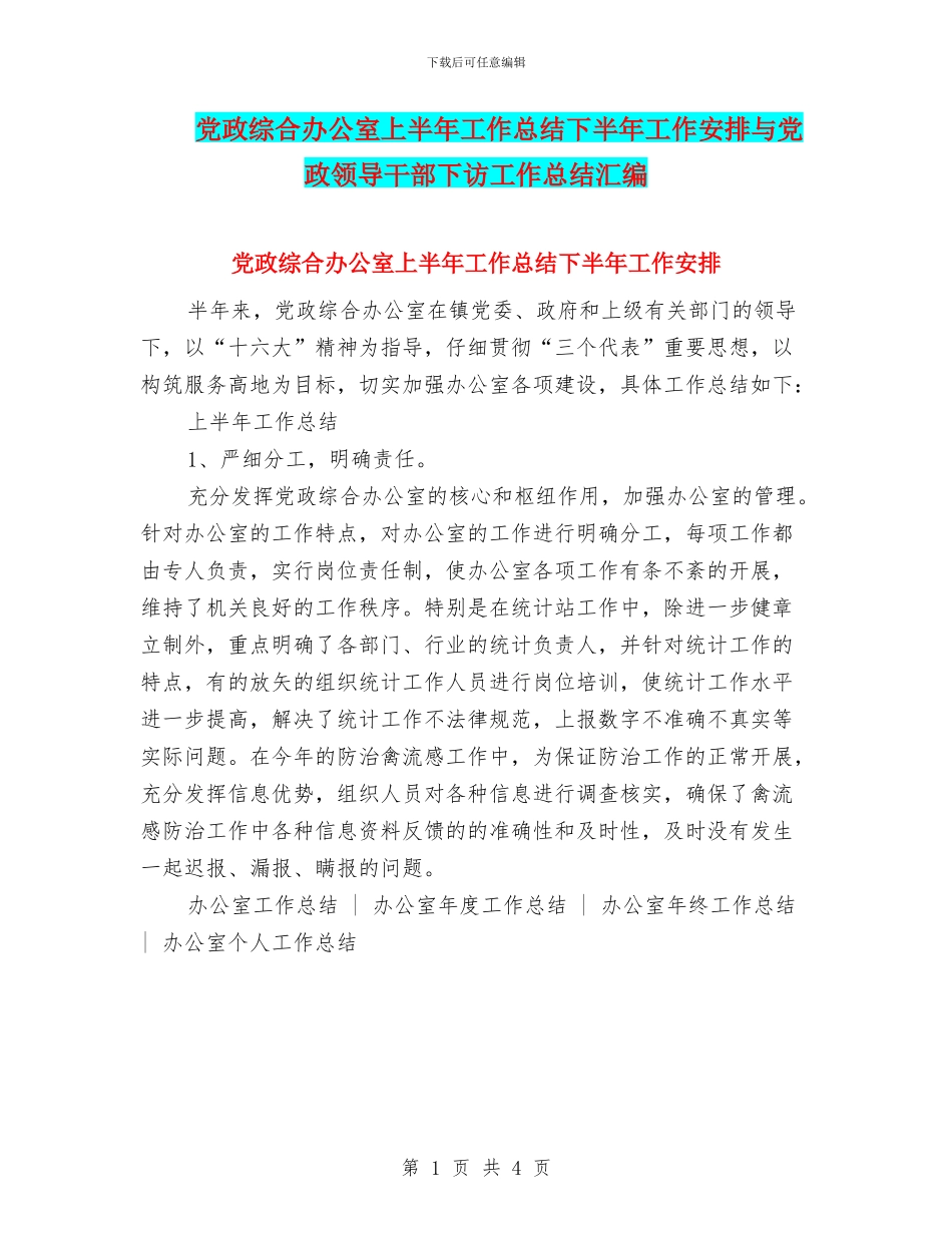 党政综合办公室上半年工作总结下半年工作安排与党政领导干部下访工作总结汇编_第1页