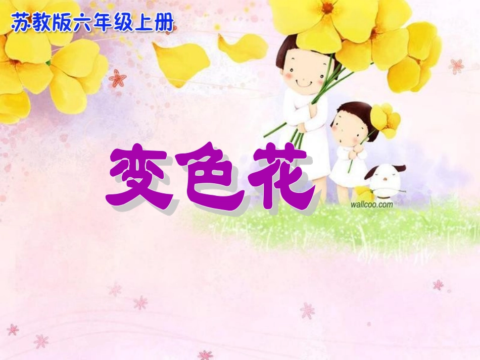 变色花 (2)_第1页