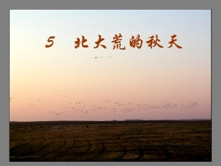 北大荒的秋天 (2)