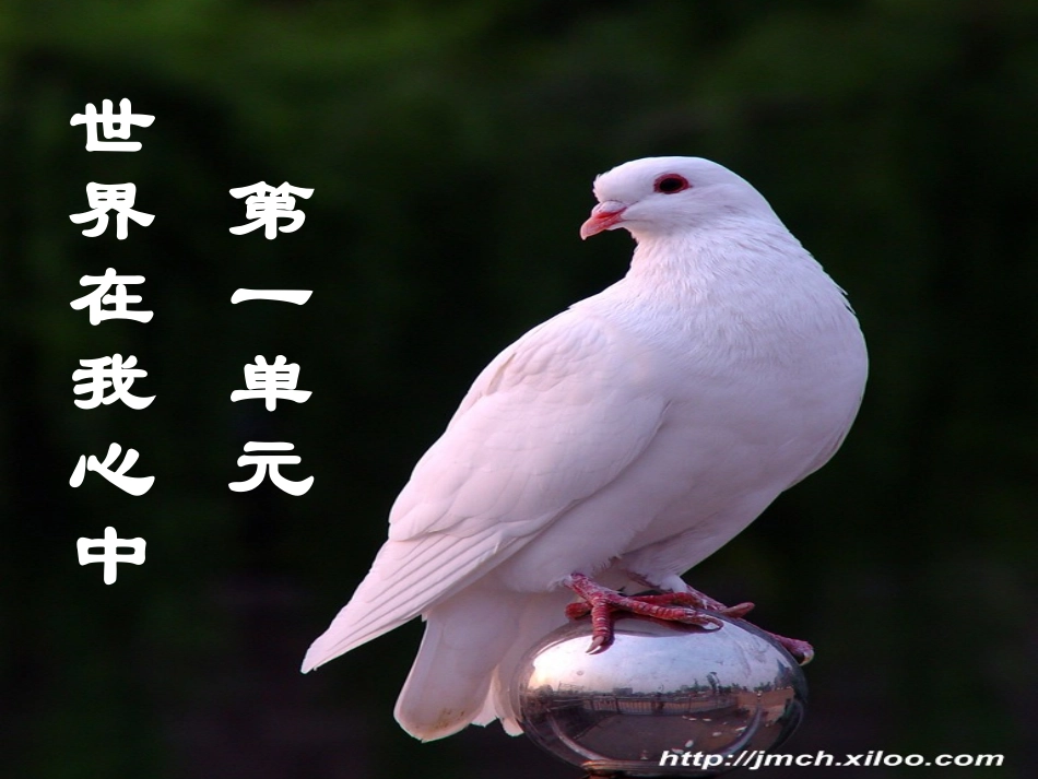 第一节：感受今日世界_第1页