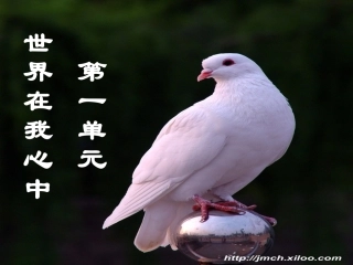 第一节：感受今日世界
