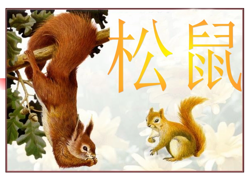 《松鼠》guoli_第1页