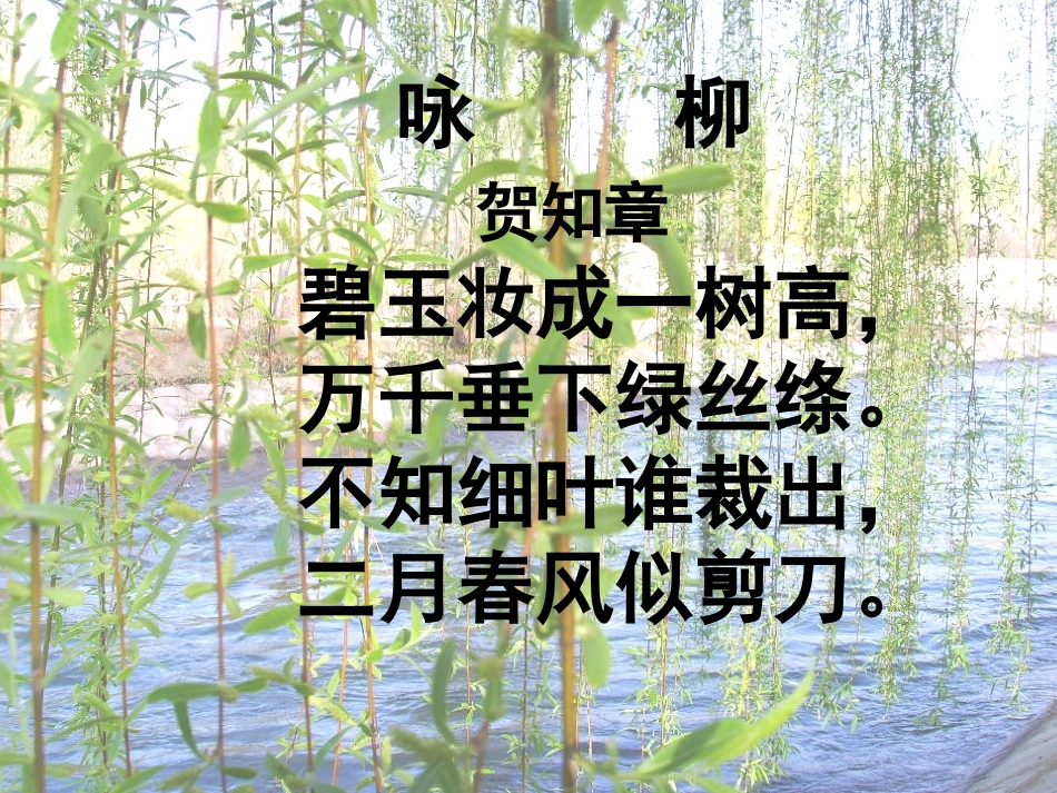 《柳叶儿》 (2)_第1页