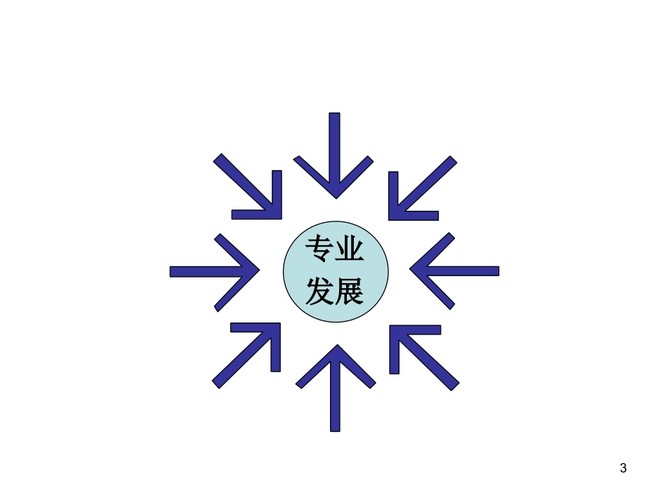 把握自己专业发展的路径（迟希新）（骨干）_第3页