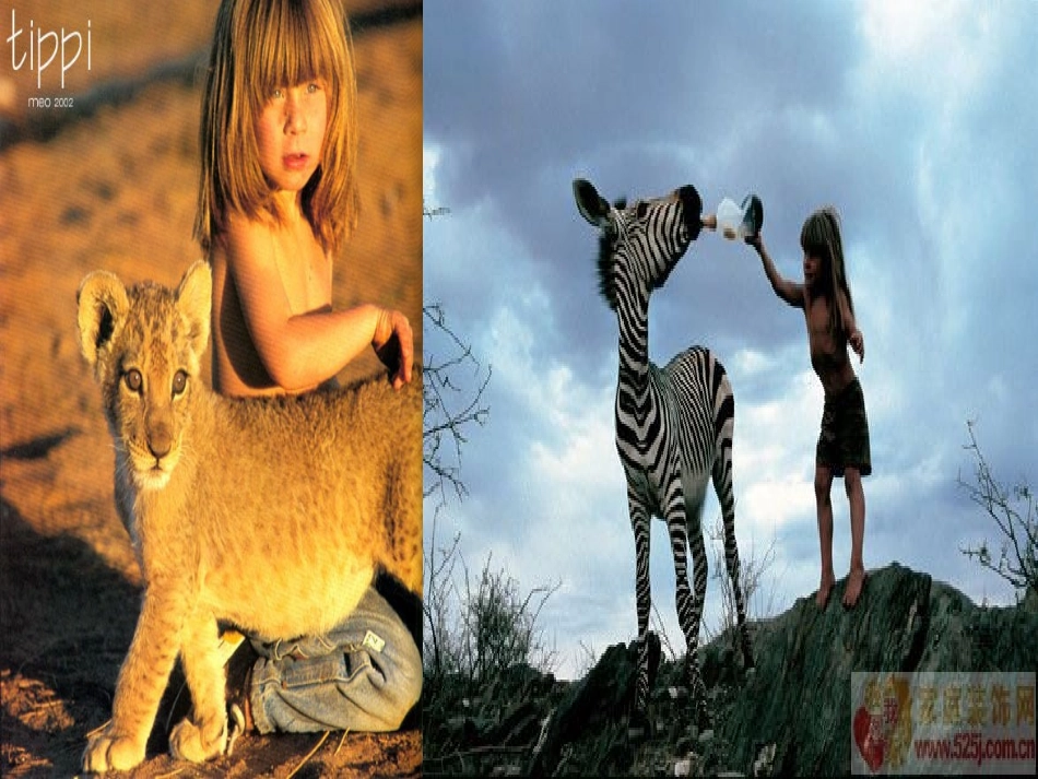 共同的问题共同的选择1课时_第3页