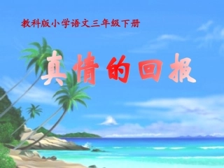 真情的回报课件