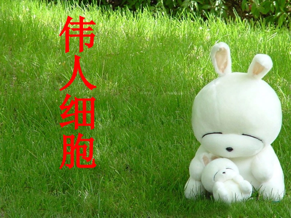 《伟人细胞》课件_第1页
