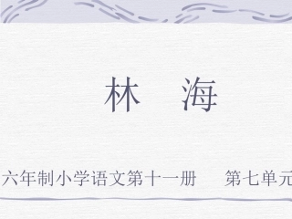 林海（小学课件）