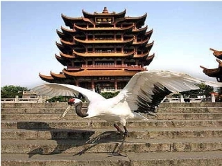 滕王阁序(正)
