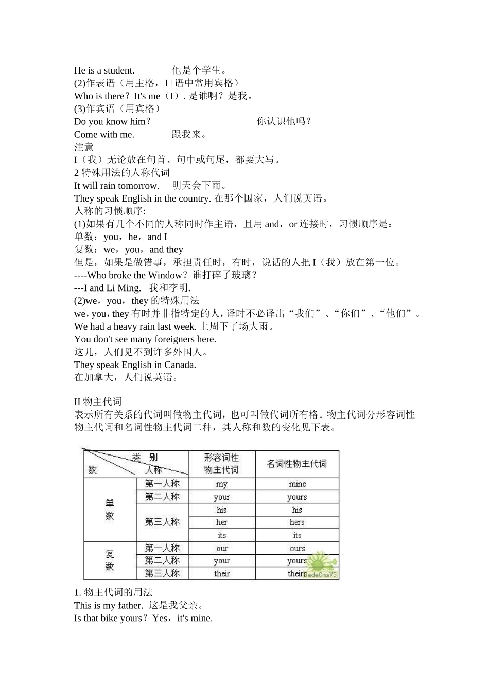 初中英语语法大全：代词_第2页