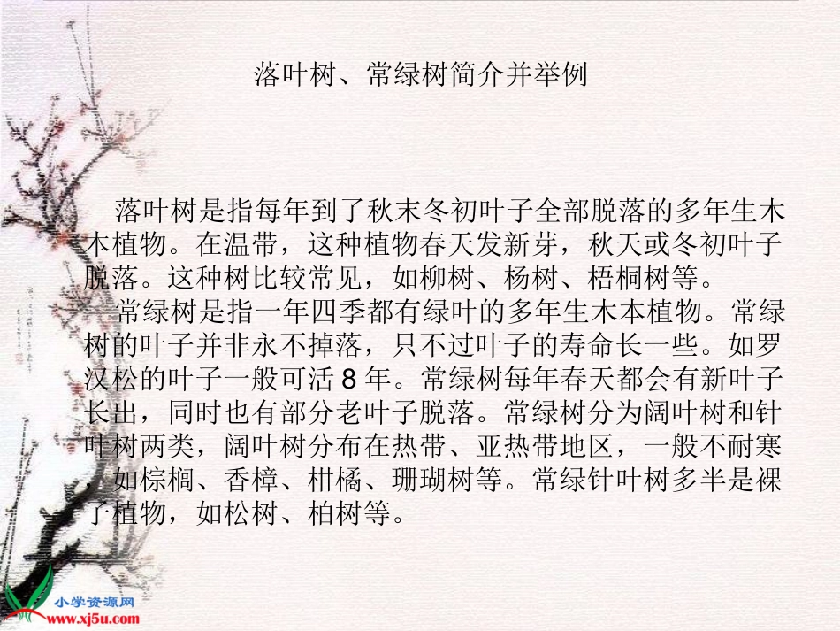 (教科版)三年级科学上册课件校园的树木(江艺）_第2页
